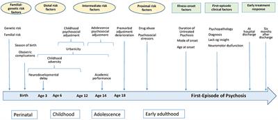 Prospective Long-Term Cohort Study of Subjects With First-Episode Psychosis Examining Eight Major Outcome Domains and Their Predictors: Study Protocol